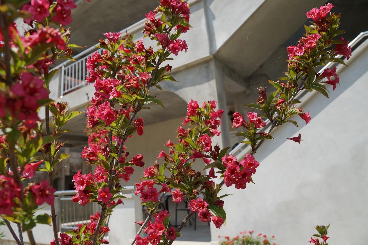 Apartments Marija Tivat Exterior foto